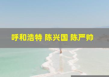 呼和浩特 陈兴国 陈严帅